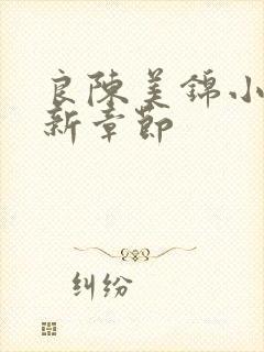 良陈美锦小说最新章节