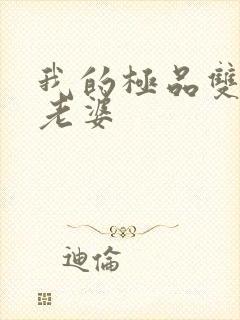 我的极品双胞胎老婆