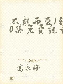 不期而至1到40集免费观看电视剧封面