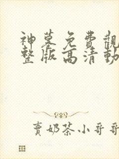 神墓免费观看完整版高清动漫在线