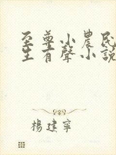 至尊小农民王木生有声小说全集收听免费听