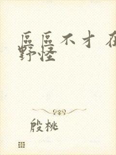 区区不才 在下野怪