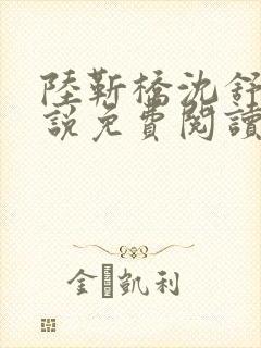 陆靳桥沈舒宁小说免费阅读最新章节封面