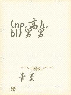 (np,高h,bl)男男