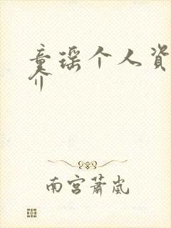 童瑶个人资料简介封面