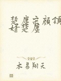 楚尘宋颜镇国神婿楚尘封面