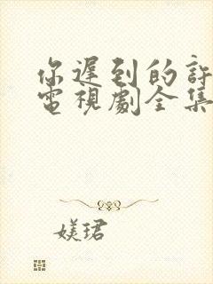 你迟到的许多年电视剧全集免费