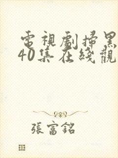 电视剧扫黑风暴40集在线观看免费完整版v