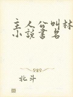 主人公叫林尘的小说书名