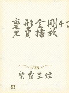 变形金刚4高清免费播放