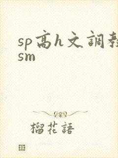 sp高h文调教sm