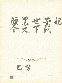 腹黑世子妃日常全文下载封面