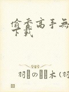 偷香高手无删减下载