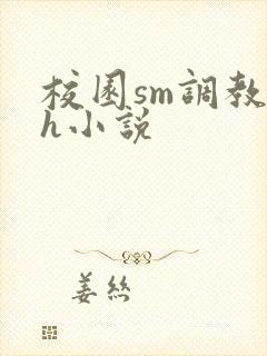 校园sm调教高h小说封面