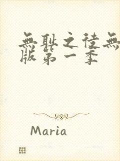 无耻之徒无删减版第一季封面