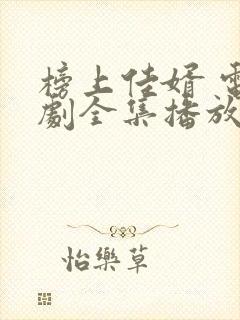 榜上佳婿 电视剧全集播放