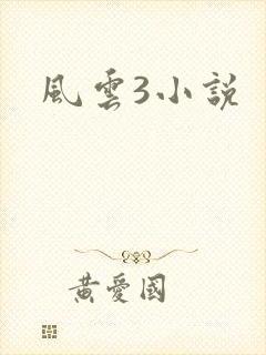 风云3小说