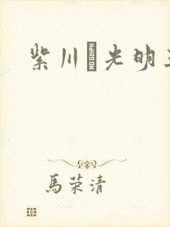 紫川·光明三杰