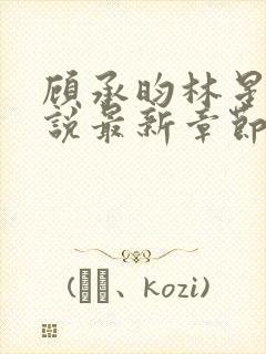 顾承昀林星禾小说最新章节免费阅读