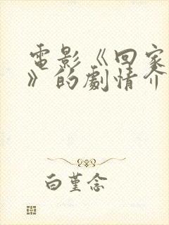 电影《回家继子》的剧情介绍