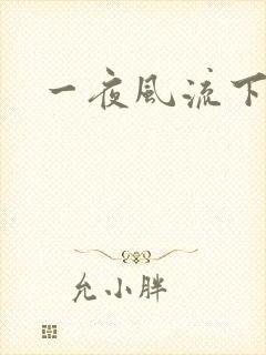 一夜风流下载封面