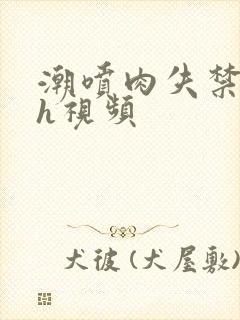 潮喷肉失禁水高h视频