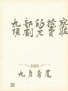 九部的检察官电视剧免费版