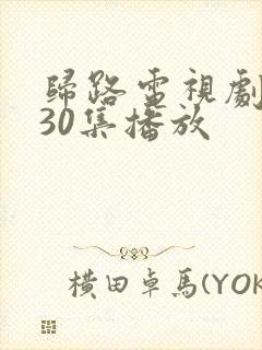 归路电视剧全集30集播放