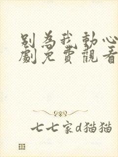 别为我动心电视剧免费观看全集高清封面