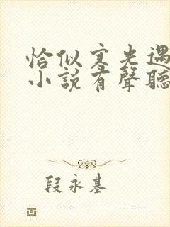 恰似寒光遇骄阳小说有声听书免费