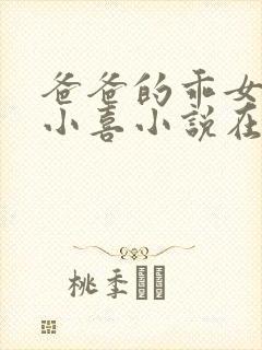 爸爸的乖女儿林小喜小说在线阅读