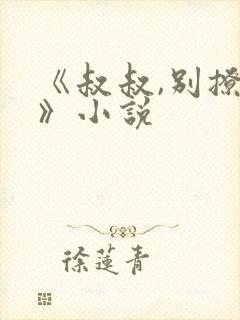 《叔叔,别撩我》小说封面