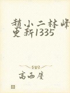 赵小二林峰刚刚更新1335