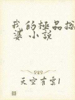 我的极品总裁老婆 小说