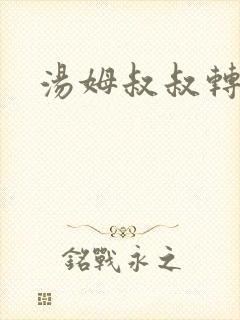 汤姆叔叔转接口