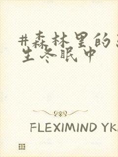 #森林里的熊先生冬眠中封面