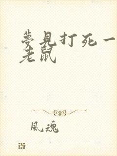 梦见打死一只大老鼠