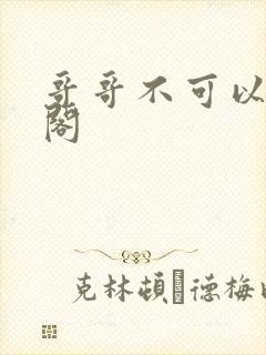 哥哥不可以笔趣阁