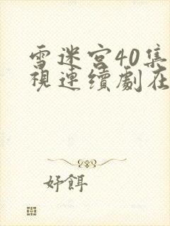 雪迷宫40集电视连续剧在线观看免费