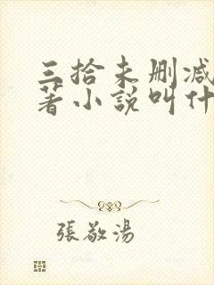 三拾未删减版原著小说叫什么封面