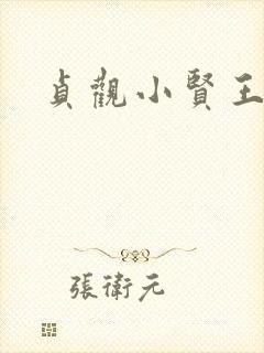 贞观小贤王李慎