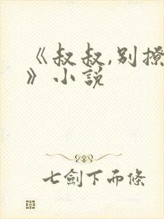 《叔叔,别撩我》小说