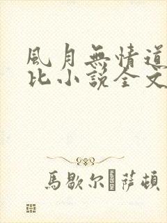 风月无情道比卡比小说全文免费阅读笔趣阁
