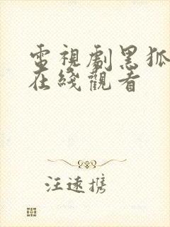 电视剧黑狐全集在线观看