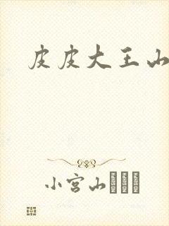 皮皮大王山海经封面