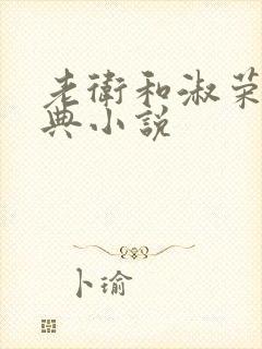 老卫和淑荣的经典小说