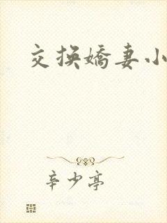 交换娇妻小说