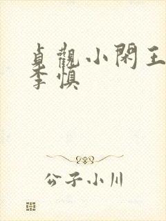 贞观小闲王纪王李慎