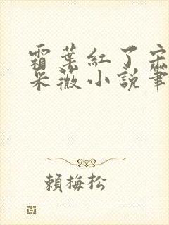 霜叶红了宋诚应采薇小说笔趣阁