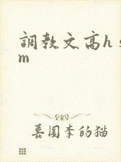 调教文高h sm